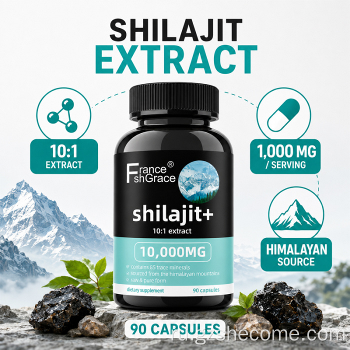 Капсулы Shecome Shilajit 10:1 с экстрактом, поддерживающим энергию